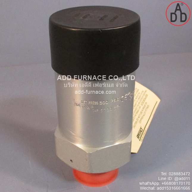 Rego AA3135A300 Safety Relief Valve (1)